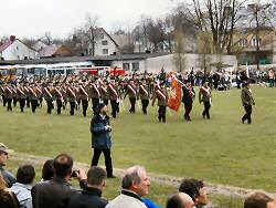 Musztra (powiększ!)