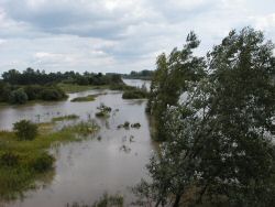 Widok z mostu w Radomylu (powiksz!)