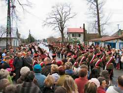 Parada 2006 (powiększ!)